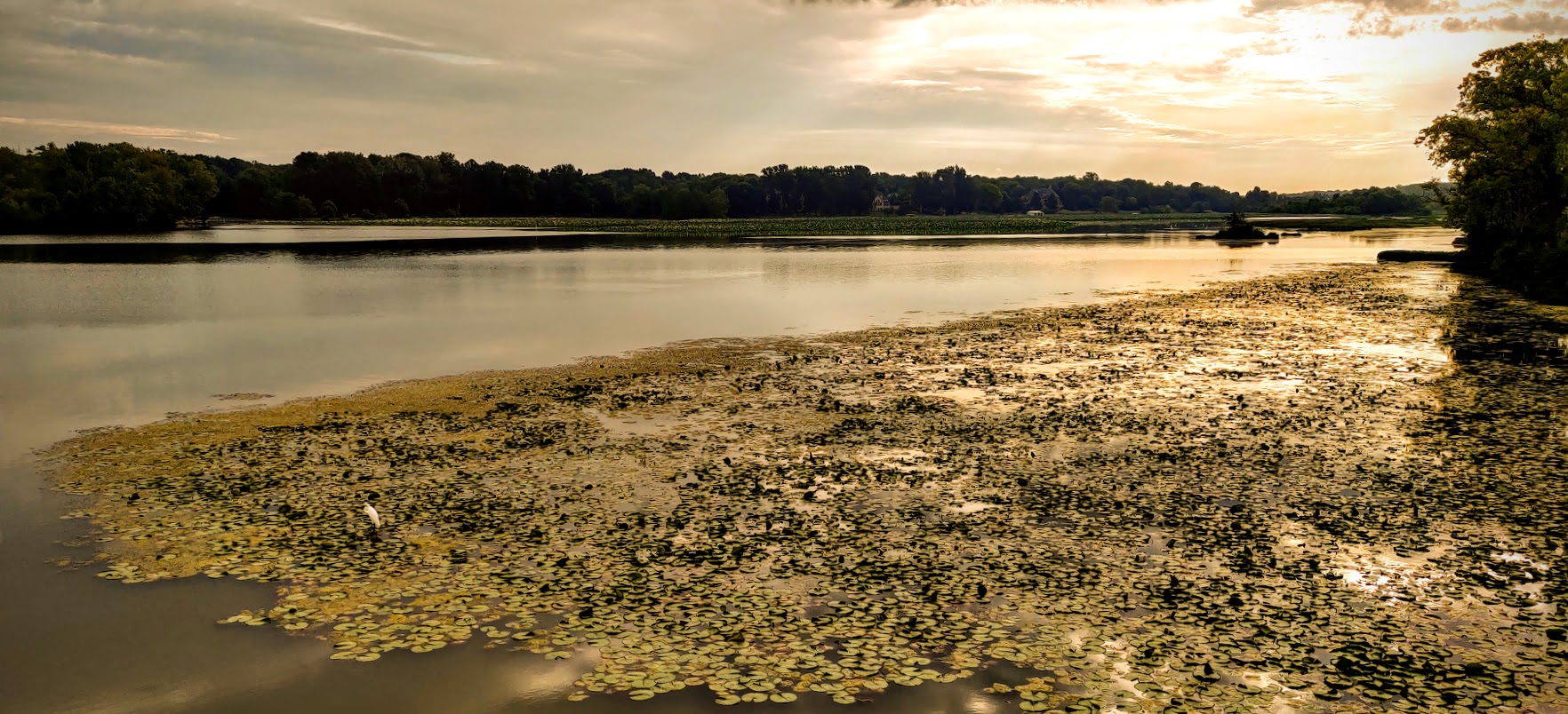 Geist Reservoir - East