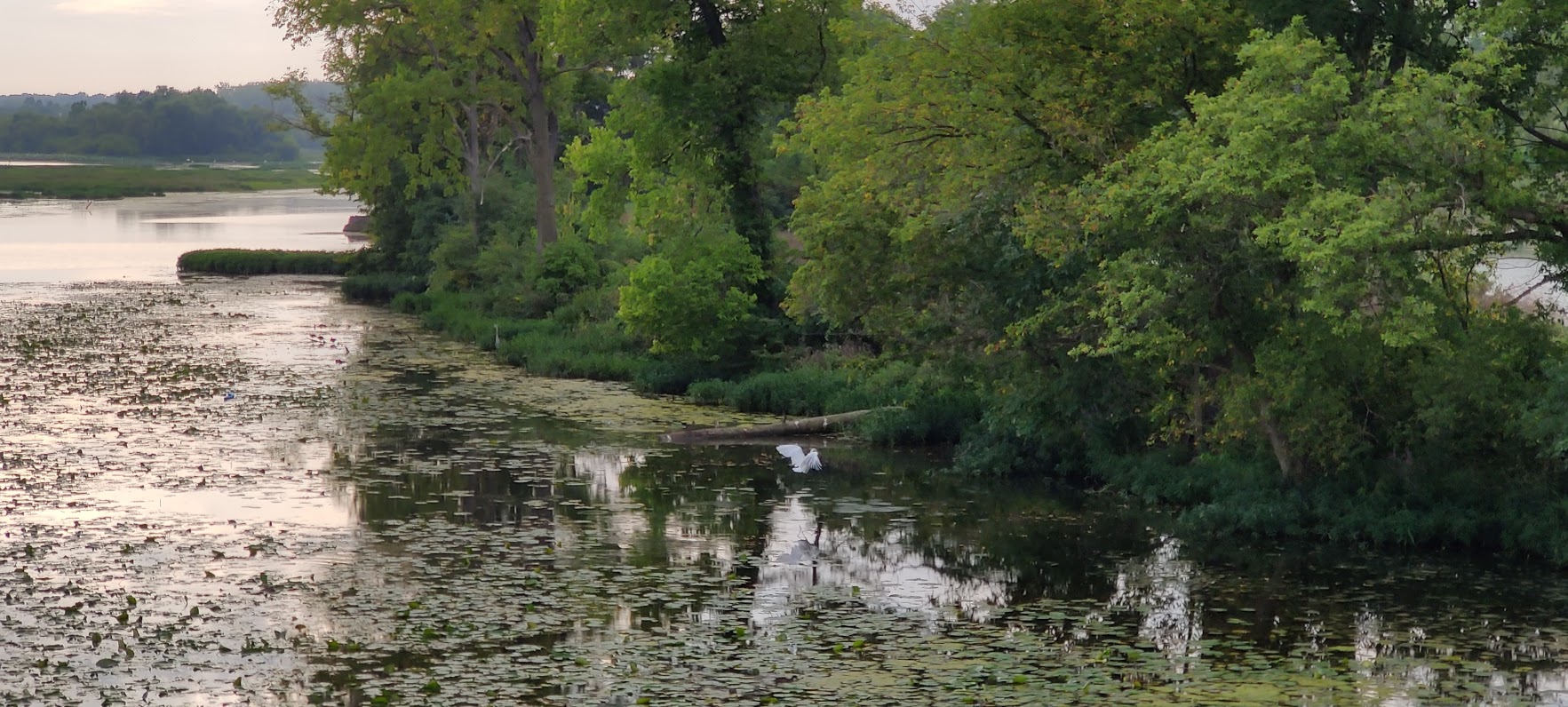 Geist Reservoir - East